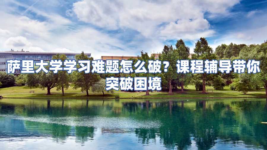 薩里大學(xué)課程輔導(dǎo)