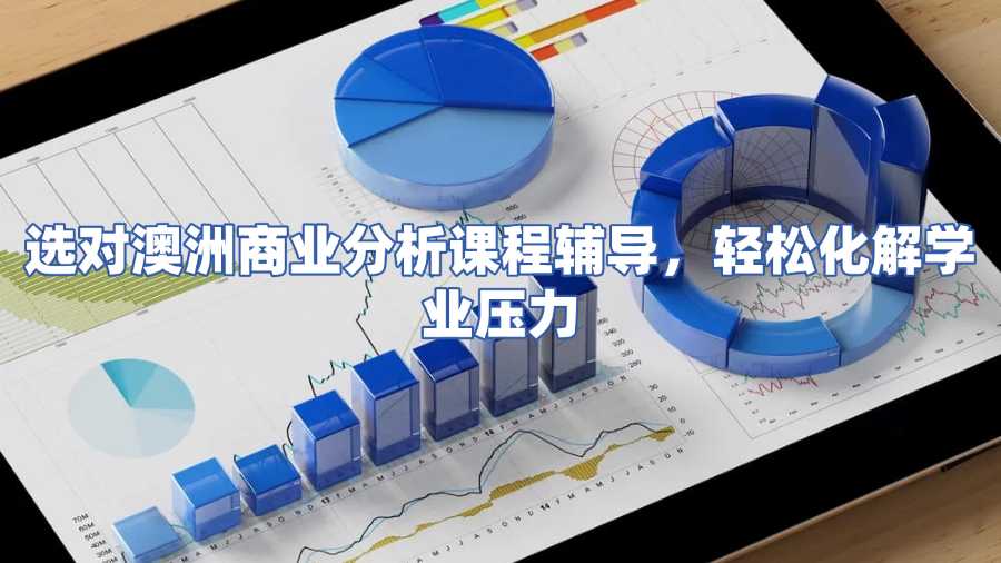 澳洲商業(yè)分析課程輔導(dǎo)