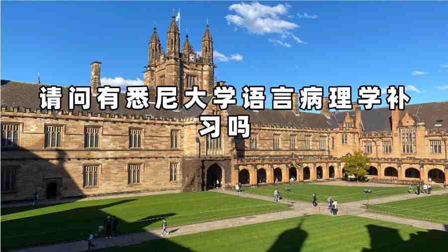悉尼大學(xué)語言病理學(xué)補(bǔ)習(xí)