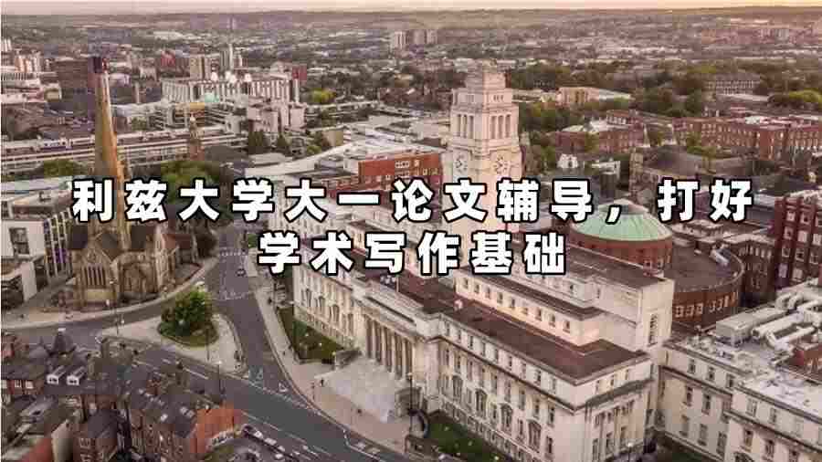 利茲大學(xué)大一論文輔導(dǎo)