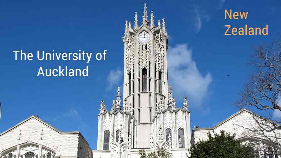 奧克蘭大學(xué)法學(xué)院大一新生選課攻略