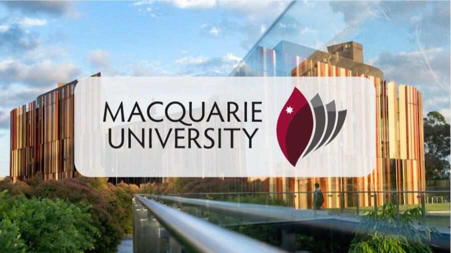 麥考瑞大學(xué)金融碩士論文寫作指南