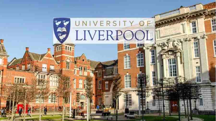 利物浦大學(xué)碩士畢業(yè)論文被查出來用AI怎么辦