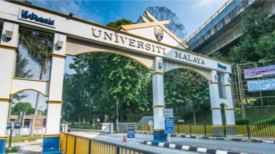 馬來亞大學(xué)選課指導(dǎo)