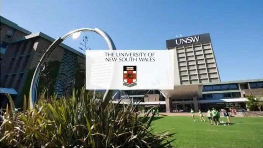 新南威爾士大學(xué)包年輔導(dǎo)，從Week 1負(fù)責(zé)到學(xué)期結(jié)束