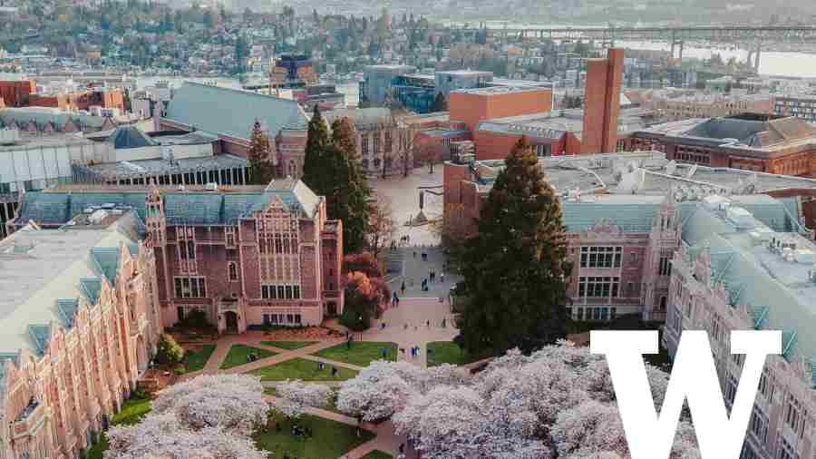 華盛頓大學(xué)課程輔導(dǎo)