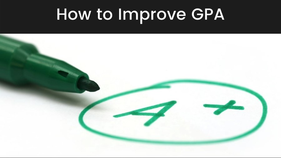 泰萊大學(xué)怎么才能拿高分