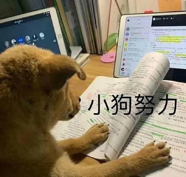 聽說還有海馬er不知道我們在B站更新視頻？